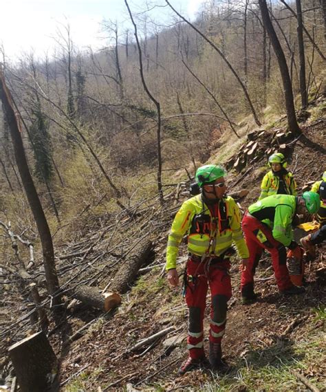 Boscaiolo muore schiacciato sotto un albero sulla Via degli Dei éTV