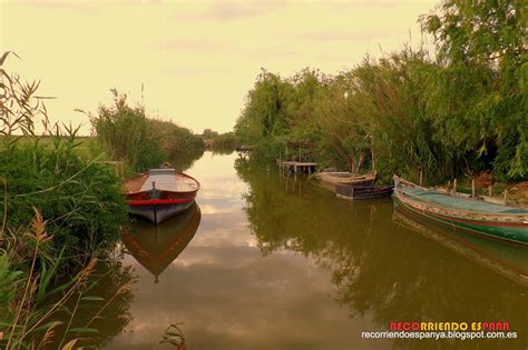 ALBUFERA DE VALENCIA