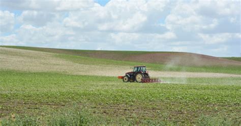 Menos Superficie Cultivable En Andaluc A Agr Noma