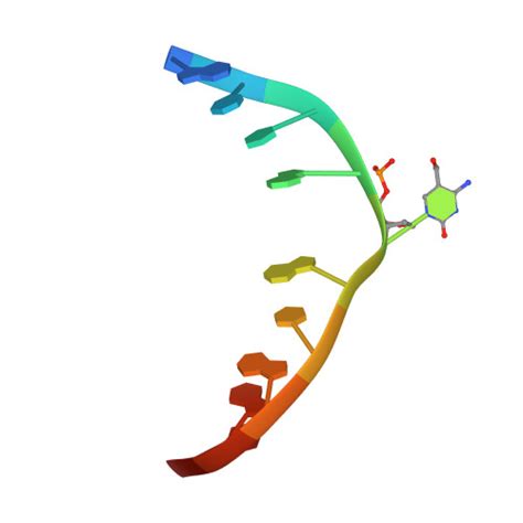 Rcsb Pdb Ygi Crystal Structure Of Suvh Sra Bound To Fully