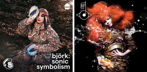 Listen: Björk's 'Biophilia' Featured on Her 'Sonic Symbolism' Podcast ...