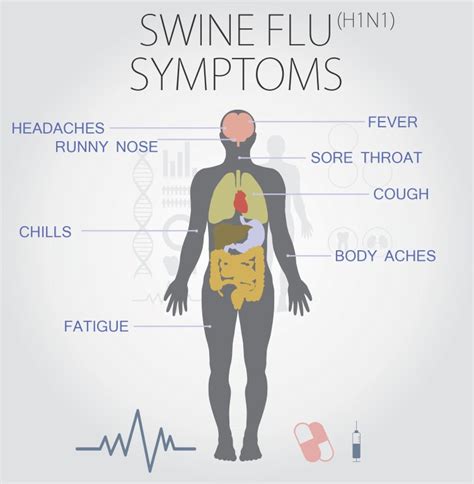 Infographic Must Know Facts About Swine Flu Berea Mail