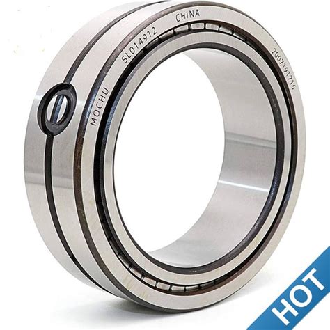 Sl Full Complement Cylindrical Roller Bearing Manufacturers