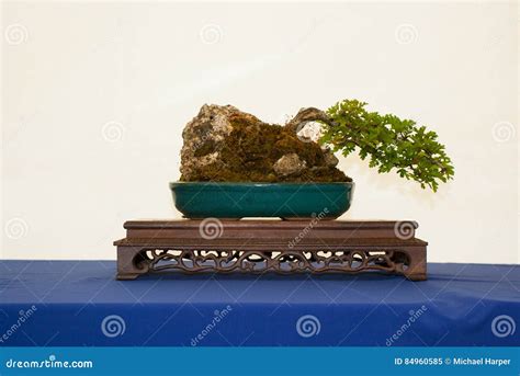 A Bonsai On An Old Table Inside Traditional Peranakan House In Penang