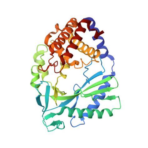 Rcsb Pdb Fto Crystal Structure Of Human Cyclic Gmp Synthase In