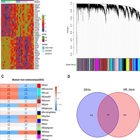 Differentially Expressed Genes And Wgcna A Heat Maps Shows The Top