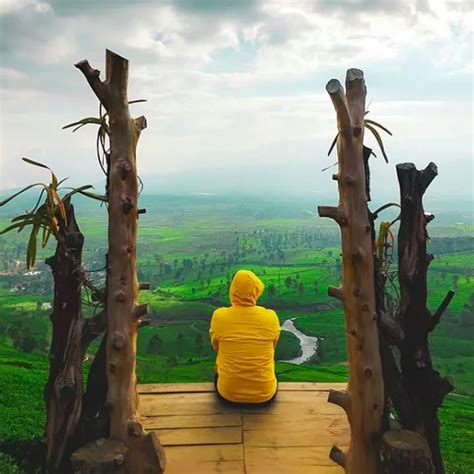 Wayang Windu Kebun Teh Sejuta Pesona Pangalengan C Rafting Pangalengan