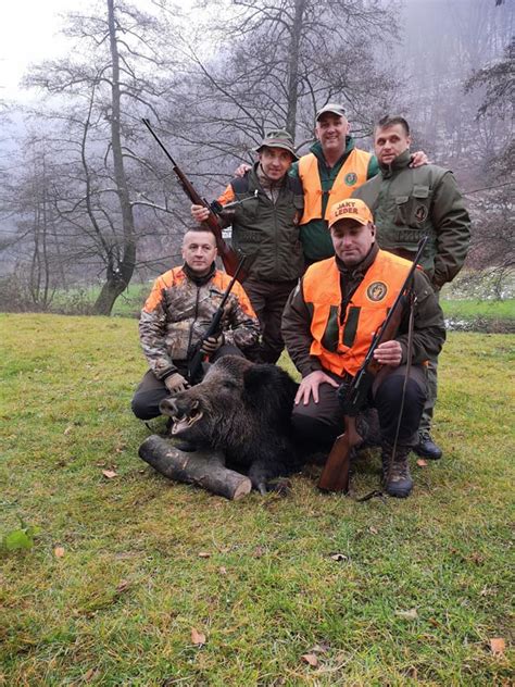 Otvorena Sezona Lova Viso Ki Lovci Uhvatili Trofejnog Vepra Te Kog