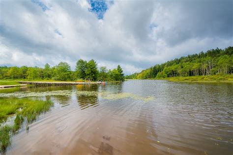 Pendleton Lake At Blackwater Falls State Park West Virginia Stock