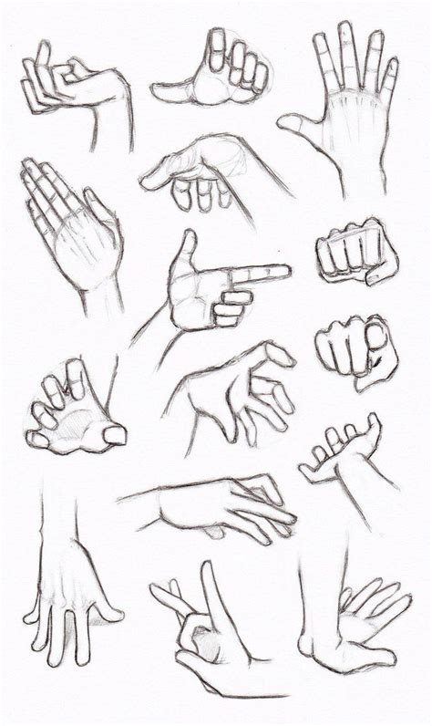 Human Anatomy Fundamentals How To Draw Hands Artofit