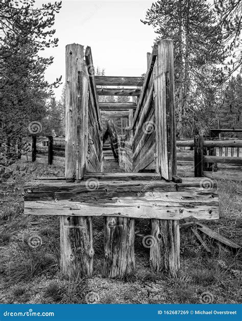 Historic Cattle Loading Chute Stock Image Image Of Flora Scenic