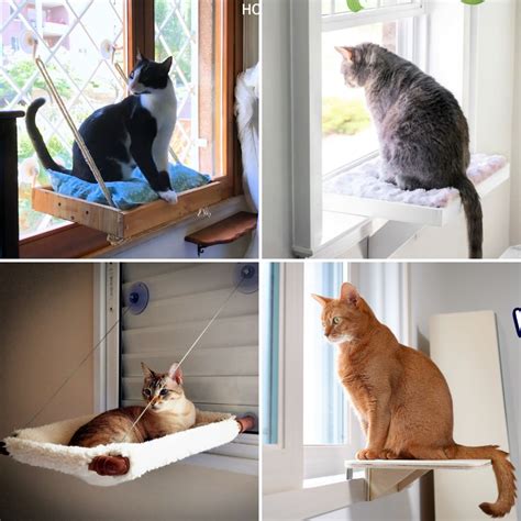 Diy Cat Window Perch Step By Step Guide Blitsy