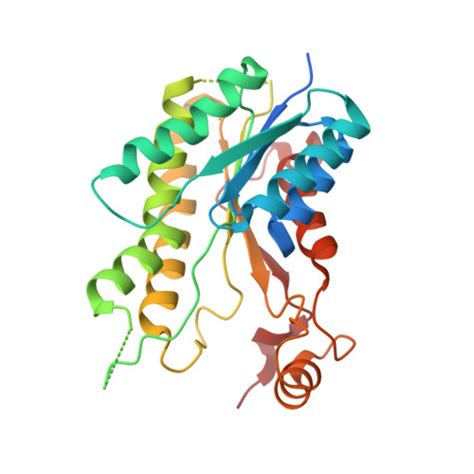 Rcsb Pdb Jq Crystal Structure Of Pteridine Reductase Ptr From