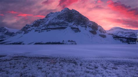 Za Nie One Jezioro Bow Lake I G Ra Crowfoot Mountain