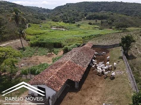 Fazenda 45 hectares em Mandacaru Terrenos sítios e fazendas