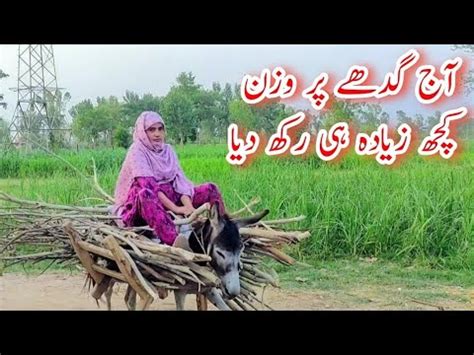 Donkey Pr Bahut Ziada Loading Kr Di Donkey Riding Youtube