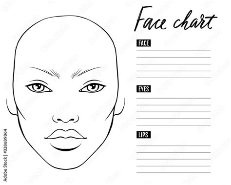 Face Chart Blank Makeup Artist Vector Template Stock Vector Adobe Stock