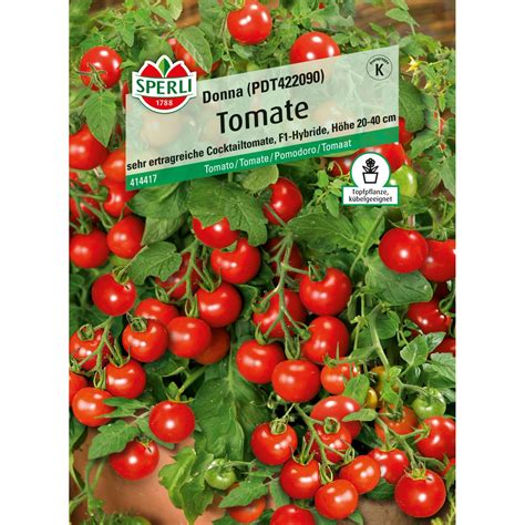 Sperli Tomaten Donna F Hybride Kaufen Bei Obi