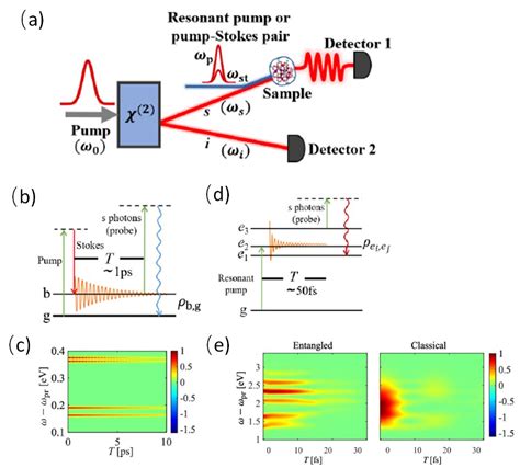 Super Resolved Coherent Raman Spectroscopy With Quantum Light