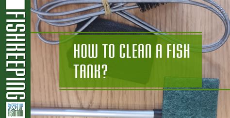 How to clean a fish tank? - Setup Fish Tank