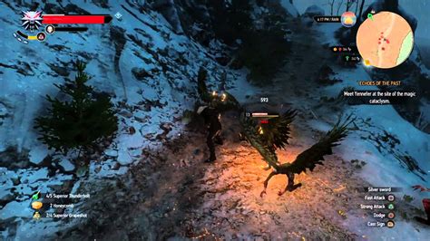 The Witcher 3 Wild Hunt Harpy Fight Youtube