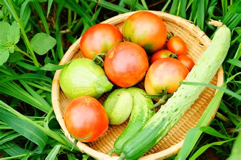 Free Images Fruit Food Produce Vegetable Tomato Cucumber