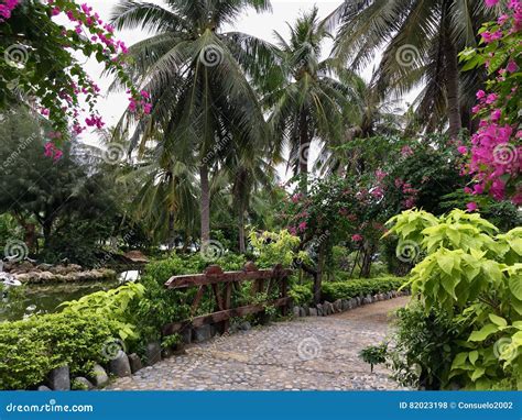 Beautiful Tropical Park Stock Photo Image Of Tropical 82023198
