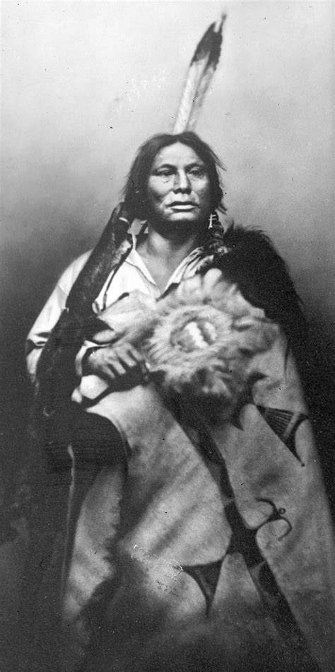 Chief Gall Dakota By David Frances Barry Indigenous Peoples Day