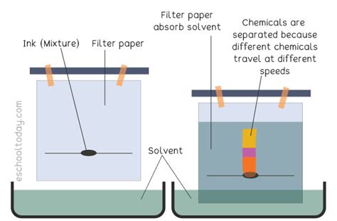 What is chromatography? – Eschooltoday