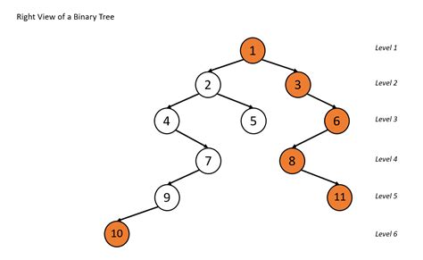 Right View Of A Binary Tree