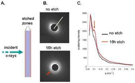 Figure From Mechanical Properties Of Mineralized Collagen Fibrils As