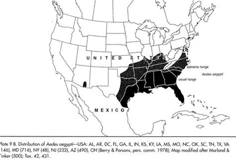 Yellow Fever Mosquito Aedes Aegypti Linnaeus