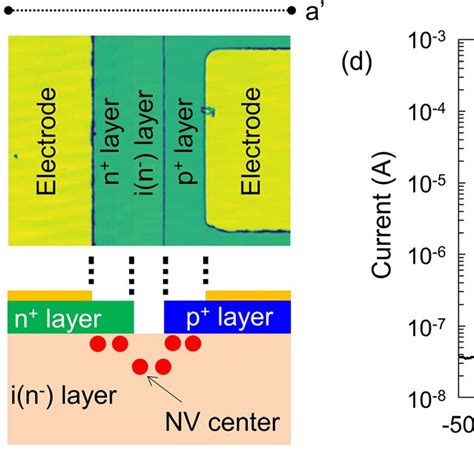 A Optical Microscope Image Of Lateral P þ I N À N þ Diodes In Download Scientific Diagram