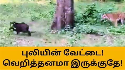 இதகக மனனட பல வடடயட பரததரககஙகள video Dailymotion