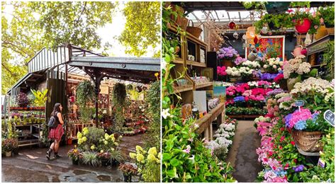 Marchés aux fleurs Paris Découvrez les plus beaux de la capitale