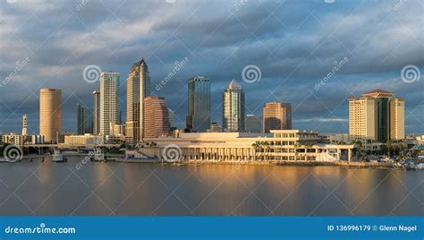 Tampa Skyline in Golden Light Editorial Stock Image - Image of evening ...