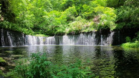 軽井沢「白糸の滝」この夏、軽井沢の本気の爽涼に溺れよう！ Skima信州 長野県の観光ローカルメディア