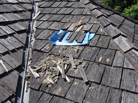 Damaged Cedar Shake Roof