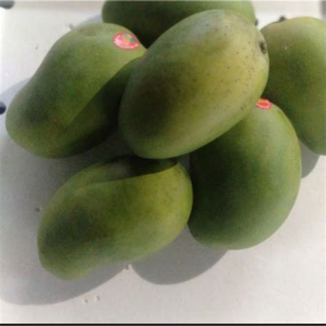 Jual Buah Mangga Harum Manis Asli Indramayu Kg Shopee Indonesia