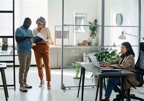 Mature Businesswoman And African American Male Employee Discussing