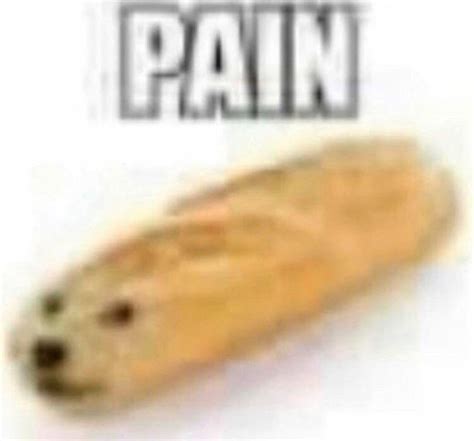 Doge Bread Pain | Pain / How Do You Manage Pain? | Know Your Meme