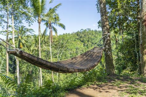 Rede De Vime De Bambu Ao Lado Da Selva Tropical Na Ilha Bali Indon Sia