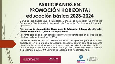 Participantes En Promoci N Horizontal Educaci N B Sica