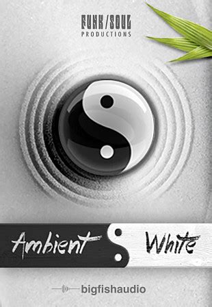 Big Fish Audio Ambient White An Original Instrument Of Textures