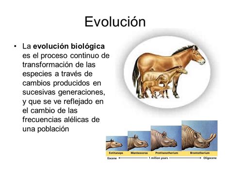 Teoria De La Evolucion Biologica - SEO POSITIVO