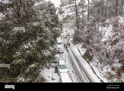 Banikhet Dalhousie Himachal Pradesh India January 2019