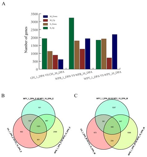 Plants Free Full Text Genetic Analysis For The Flag Leaf Heterosis