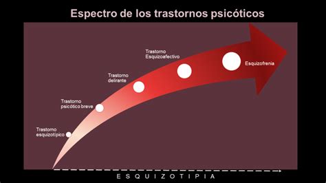 Cu Les Son Los Trastornos Psic Ticos Infopsicosis