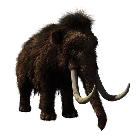 Ice Age Aliphant Png Image Ice Age Wooly Mammoth The Wooly Images And