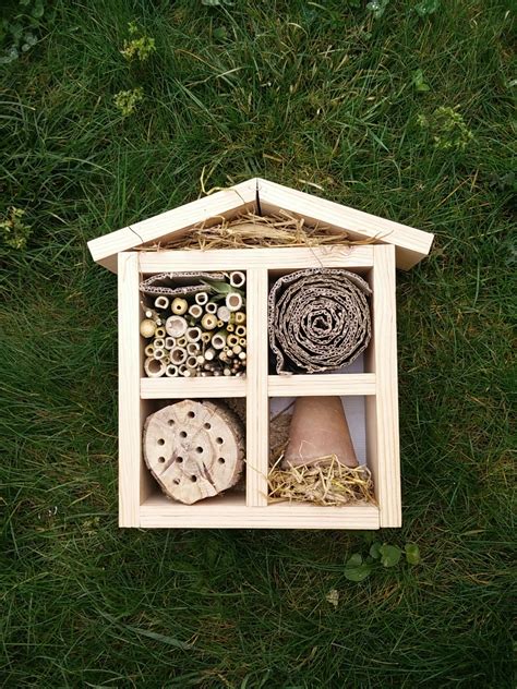 Construire Une Maison A Insectes